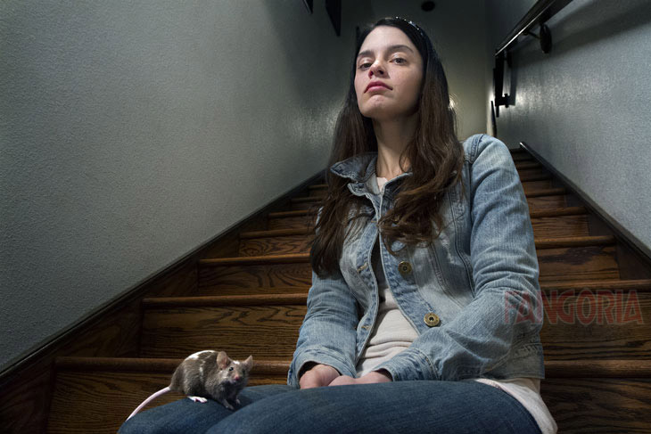 Spécialiste du film d’horreur, le réalisateur américain Brian Avenet-Bradley prépare avec son épouse ECHOES OF FEAR, au script qu’il juge « terrifiant »…. (voir ci-dessous)