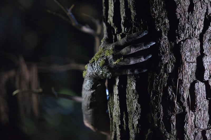 ENCLOSURE, un nouveau monster movie avec les enfants des comédiens Gary Busey et Brad Dourif…(voir ci-dessous)