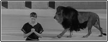 Androclès et le lion