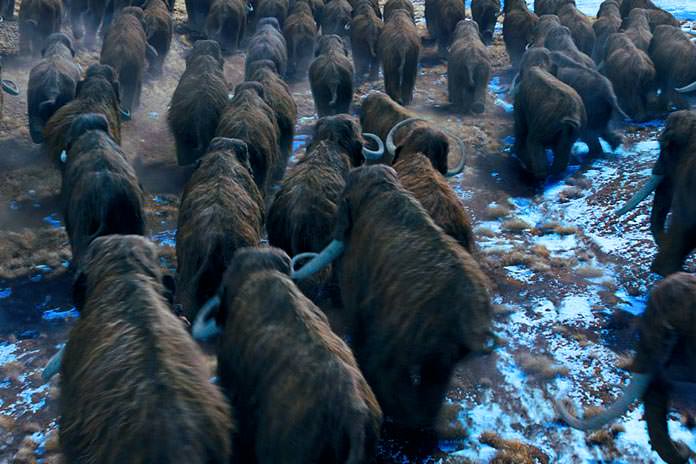 La Fox a peut-être trouvé son «Jurassic Park» !