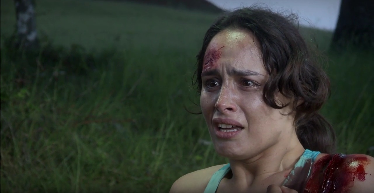 Premier film en 3D du Chili, GRITOS DEL BOQUE sort localement en novembre prochain…