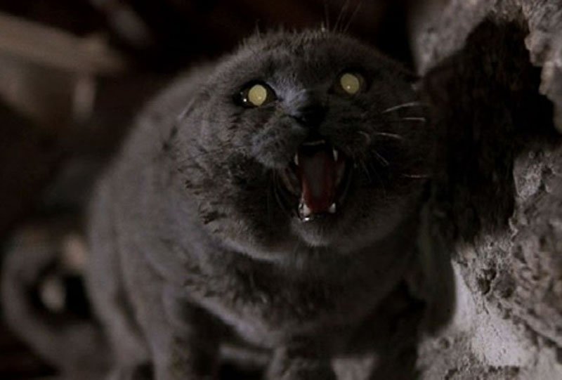 Paramount déterre deux réalisateurs  pour « Simetierre »…..