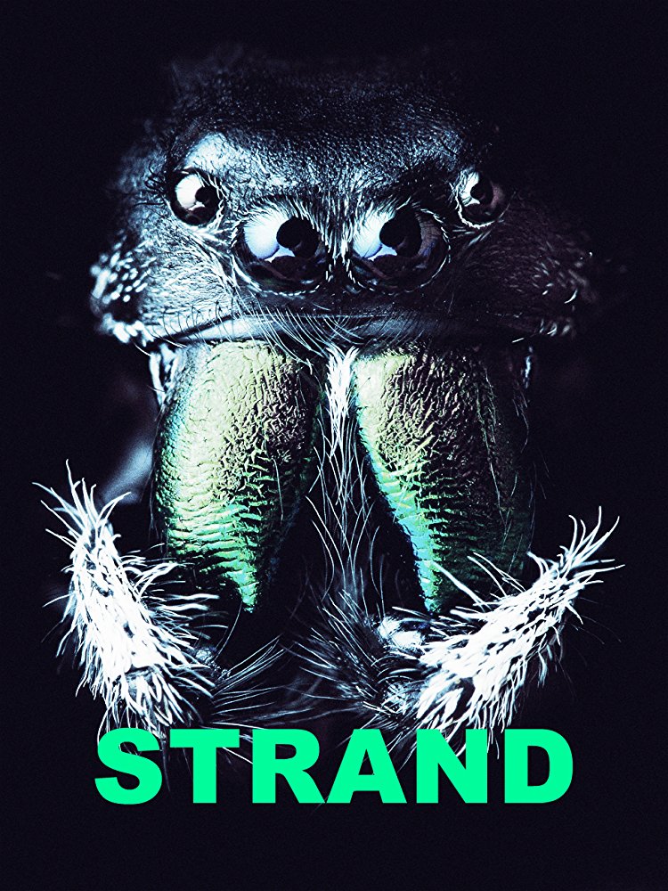STRAND, ou la création de monstres….