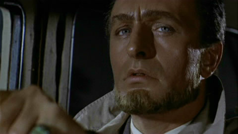 Le Cirque des Horreurs