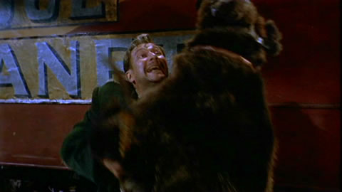 Le Cirque des Horreurs