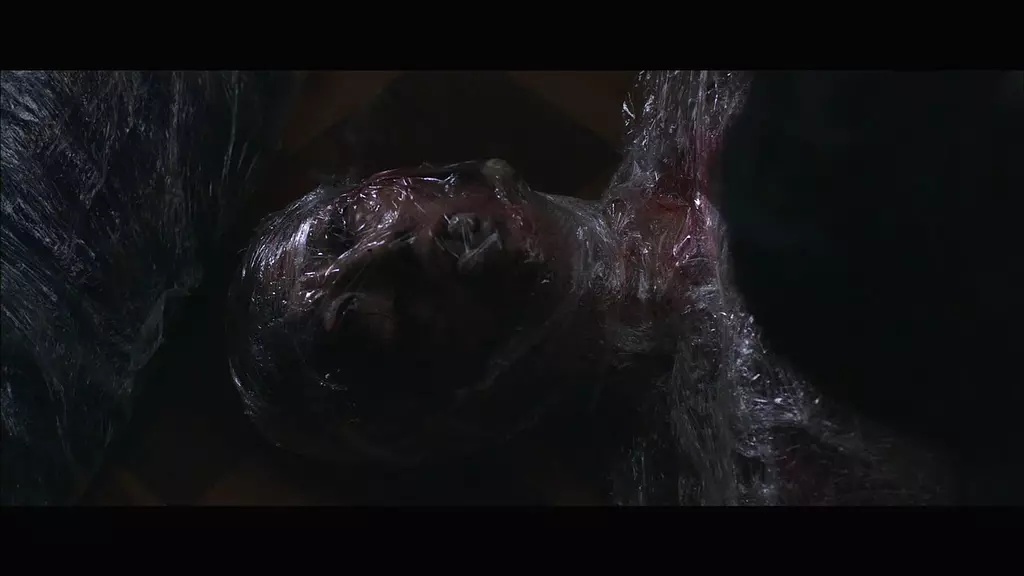 HYDE AND SEEK (2019-2020)