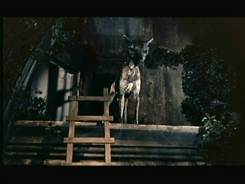 LE CHIEN DES BASKERVILLES (1958)