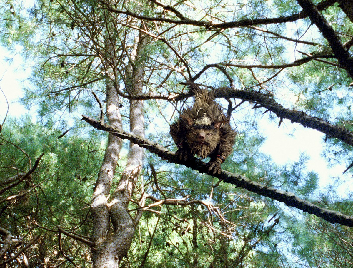 LE SECRET DE THERABITIA