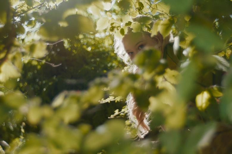 The Magic Faraway Tree 