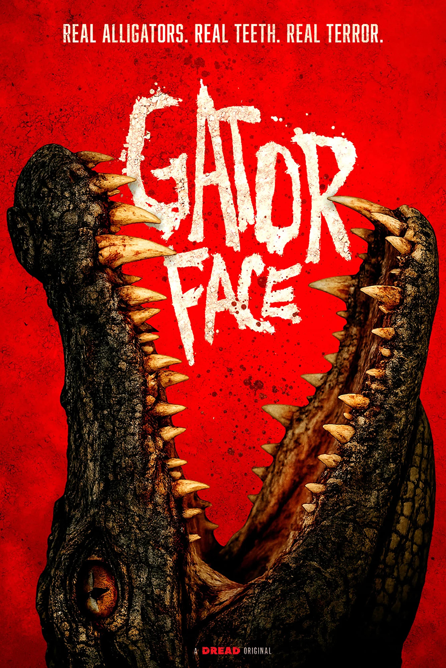 Gator Face »
