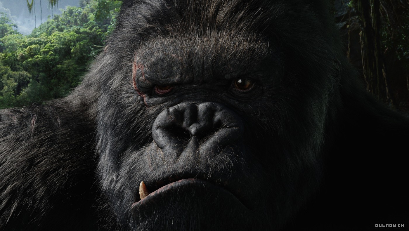 KING KONG (2005)