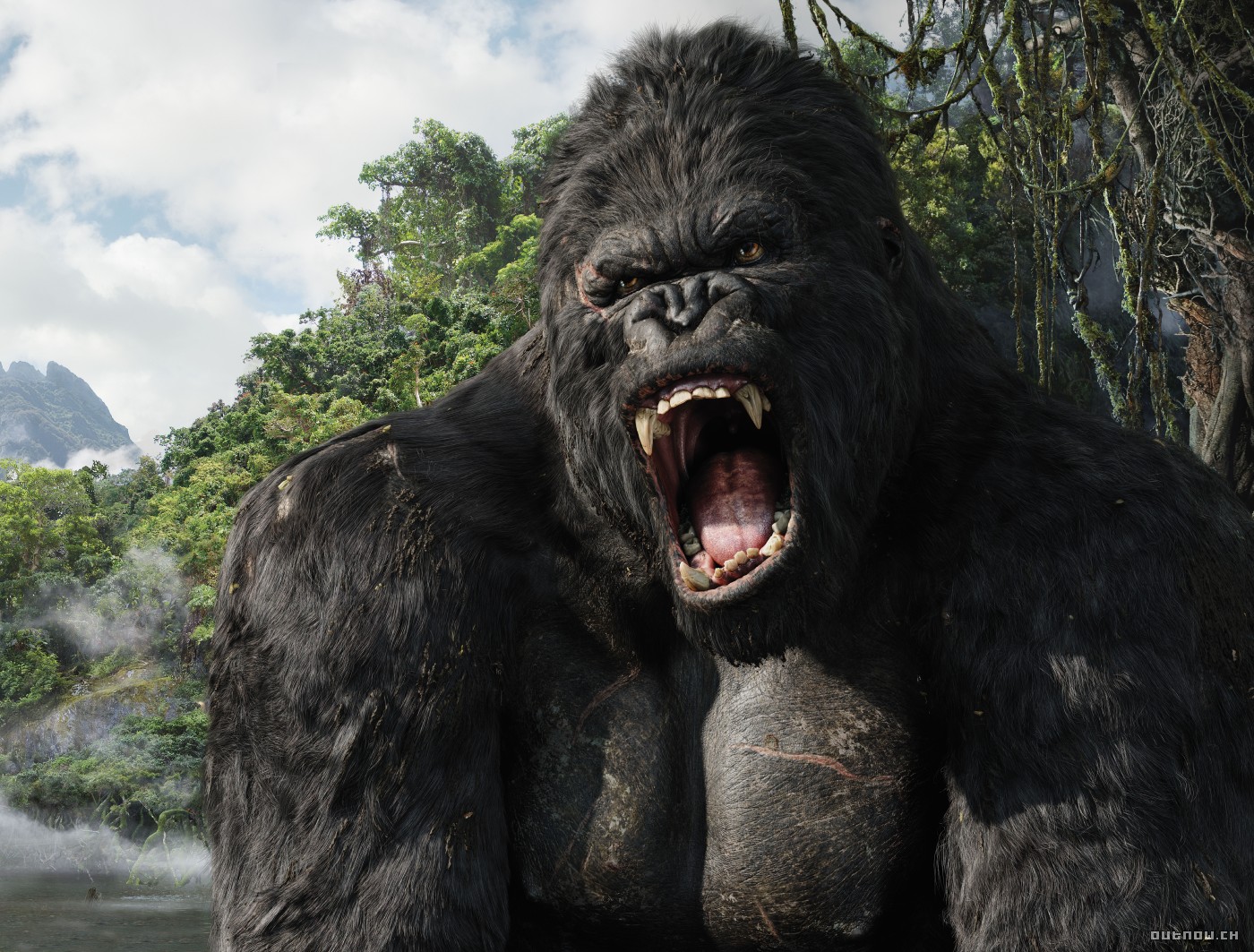 KING KONG (2005)