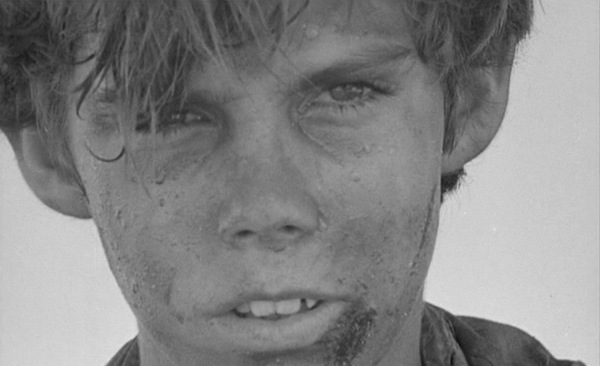 Sa Majesté des Mouches