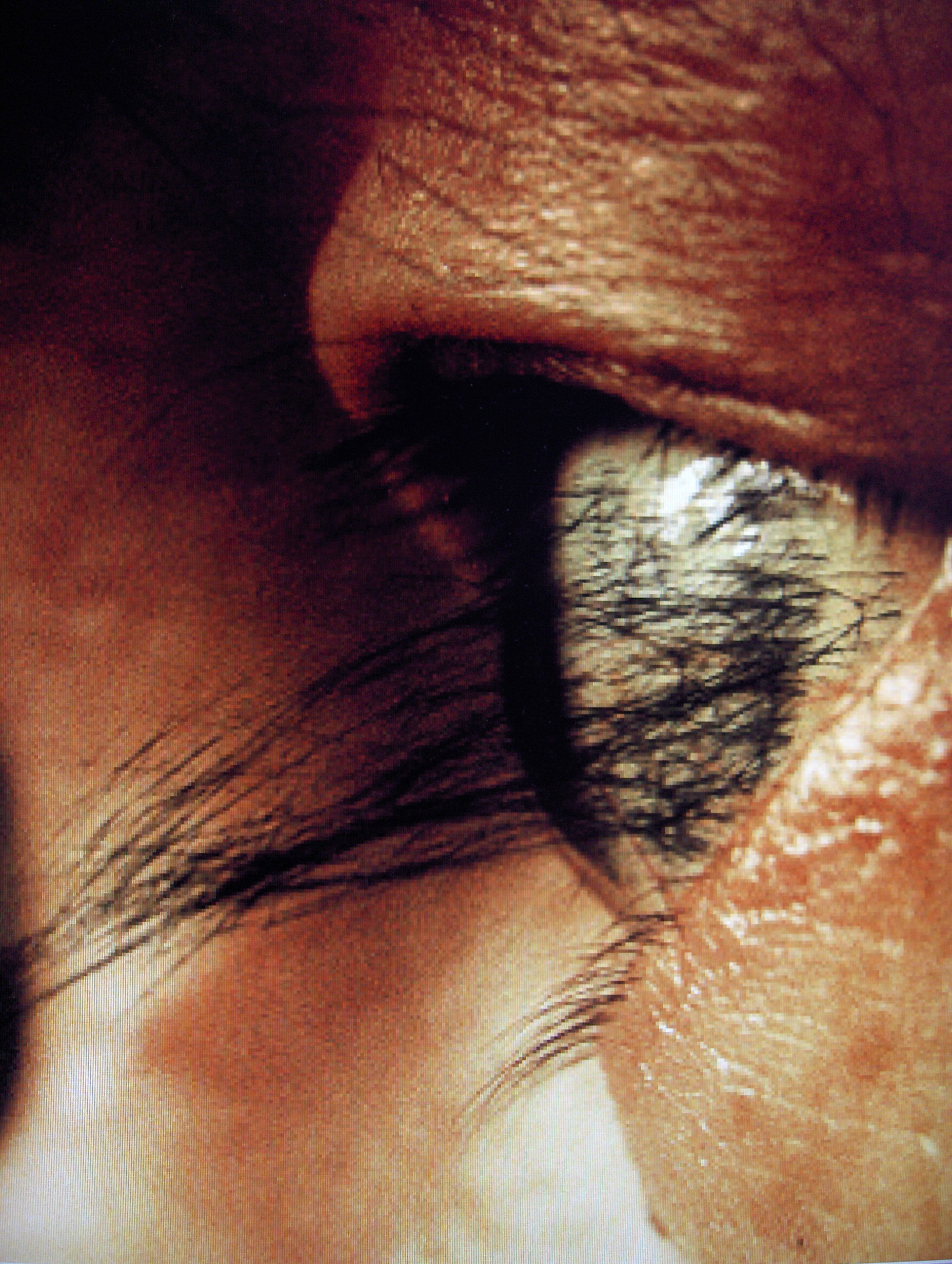 EXTE : HAIR EXTENSIONS