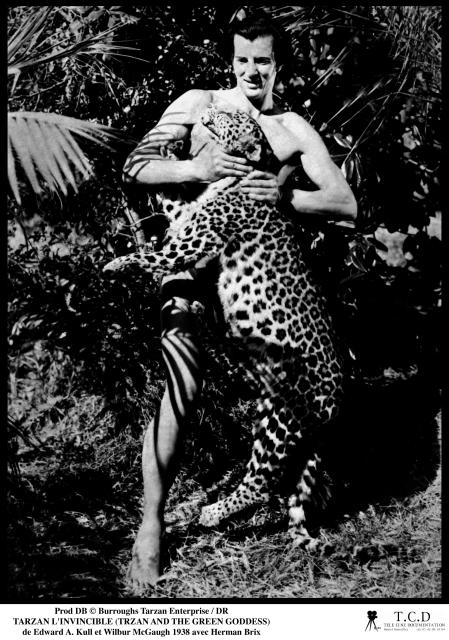 TARZAN L'INVINCIBLE (1938)