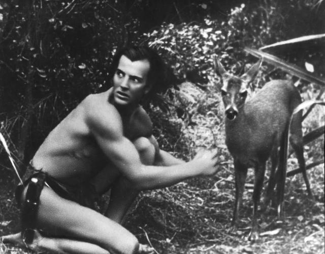 Tarzan l'invincible (1938)