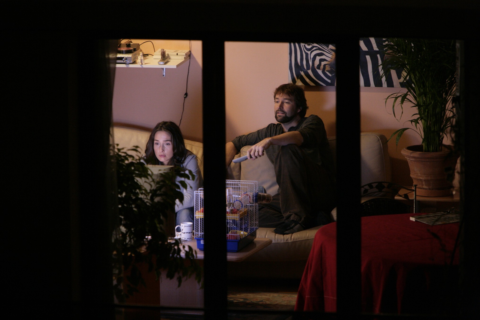 NOS AMIS LES TERRIENS