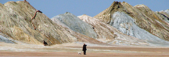 La posibilité d'une île