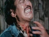 Lima Cewek Jagoan (1980)