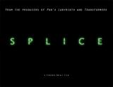Splice
