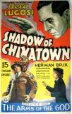 Shadow of Chinatown