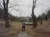 Evil Dead