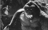 KING KONG
