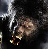 The Wolfman (2009)