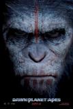 La planète des singes : l'affrontement