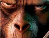 Rise of the Apes