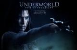 Underworld Rise of the Lycans