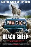 BLACK SHEEP