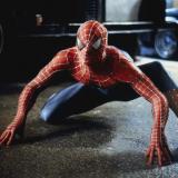 Le scénariste James Vanderbilt ("Zodiac") a terminé le scénario de "Spider-Man 4", un script qui pourrait servir également pour un 5e épisode, auquel cas, les 2 films seraient tournés en même temps...