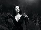 Pour le 50e anniversaire de "Plan 9 From Outer Space", un remake en cours (voir ci-dessous)