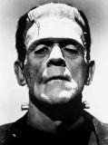 "Frankenstein" (1931)