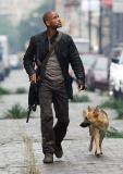 ...L'histoire se déroulerait trois ans avant "Je suis une légende", et l'ambiance, selon Lawrence, serait nettement différente, les dégradations n'ayant pas atteint leur point maximum. Will Smith sera de l'aventure !