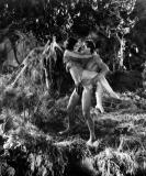 ...par Edgar Rice Burroughs et incarné à l'écran par Johnny Weismuller durant les années 30 et 40 dans des productions de la MGM. Voici deux ans, c'est Guillermo del Toro qui avait été choisi comme réalisateur....