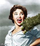 Curucu, Bête de l'Amazone