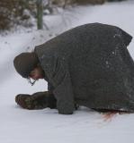 .... sont faits de paille. Ses compagnons ont été son rempart contre la folie. Toutefois, cet environnement tranquille va changer (suite ci-dessous)
