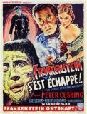 Frankenstein s'est échappé