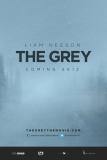 The Grey