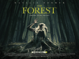 The Forest