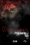 The Wolfman (2009)
