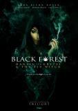 Black Forest: Hansel and Gretel & the 420 Witch