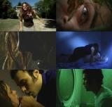 Nouveau film d'horreur italien écrit et dirigé par Paolo Fazzini avec Gianluca Testa, Eleonora Bolla et Rodolfo Medina, "Mad" in Italy a pour héros un jeune serial-killer, et s'inspirerait d'événements réels...(voir ci-dessous)