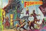 Créé par Calvin T. Beck et publié de février 1962 à juin 1975, "Castle of Frankenstein" était basé sur le concept de "Famous Monsters of Filmland" (suite ci-dessous).