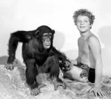 Johnny Sheffield (79 ans), qui incarna le fils de Tarzan dans la série avec Johnny Weissmüller, nous a quittés le 15 octobre, suite à une attaque cardiaque. (voir ci-dessous)