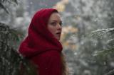 "Red Riding Hood", la nouvelle histoire du Petit Chaperon Rouge racontée par Catherine Hardwicke, auteur du premier "Twilight", où Amanda Seyfried incarne l'attachante héroïne, qui pourrait bien ne pas être aussi innocente qu'on le prétend...