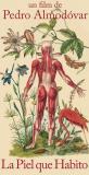 C'est le 16 novembre que sortira en France le nouveau Pedro Amoldovar, "La peau que j'habite"....  (voir ci-dessous)