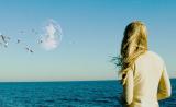 "Another Earth", un drame sentimental de SF ovationné au Sundance Film Festival sortant cet été aux USA.... (suite ci-dessous)